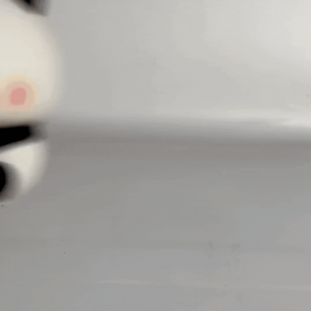 Bao, Le bébé Panda