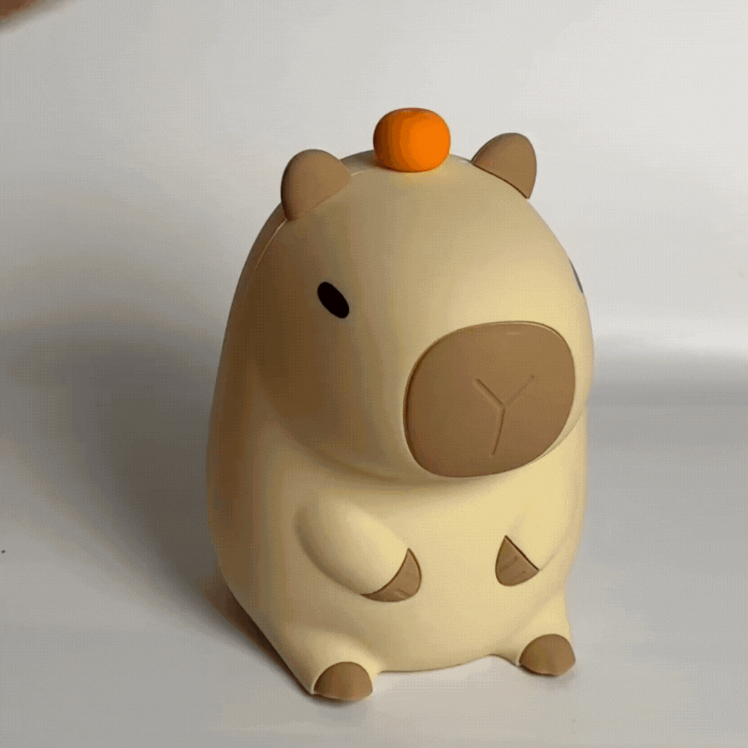 Paco, Le Capybara Zen