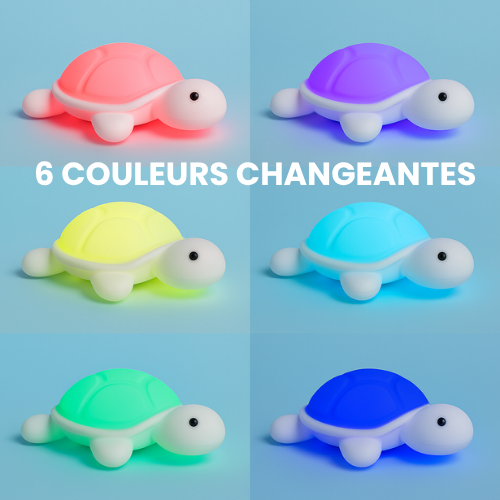 Nami, La petite Tortue