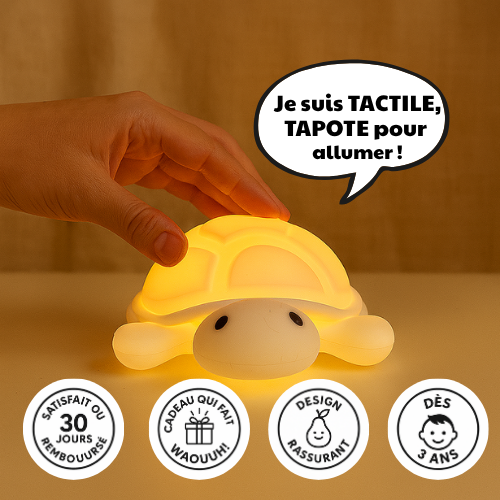 Nami, La petite Tortue