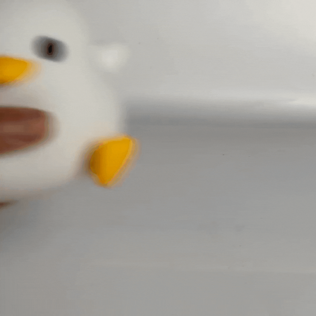 Kiki , Le Petit Poussin