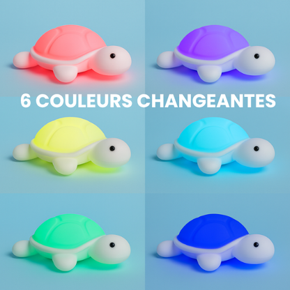 Nami, La petite Tortue